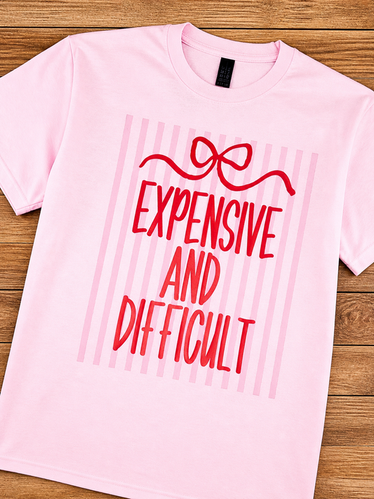 Expensive and Difficult striped t-shirt
