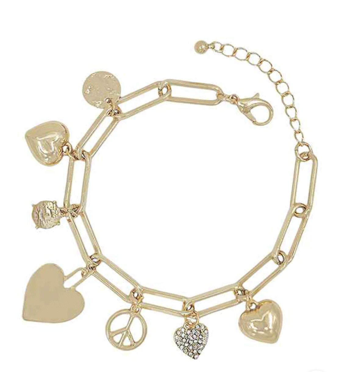 Multi Charm Link Bracelet
